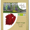 Vigne rouge (Vitis vinifera) feuilles - Laboratoire Altho